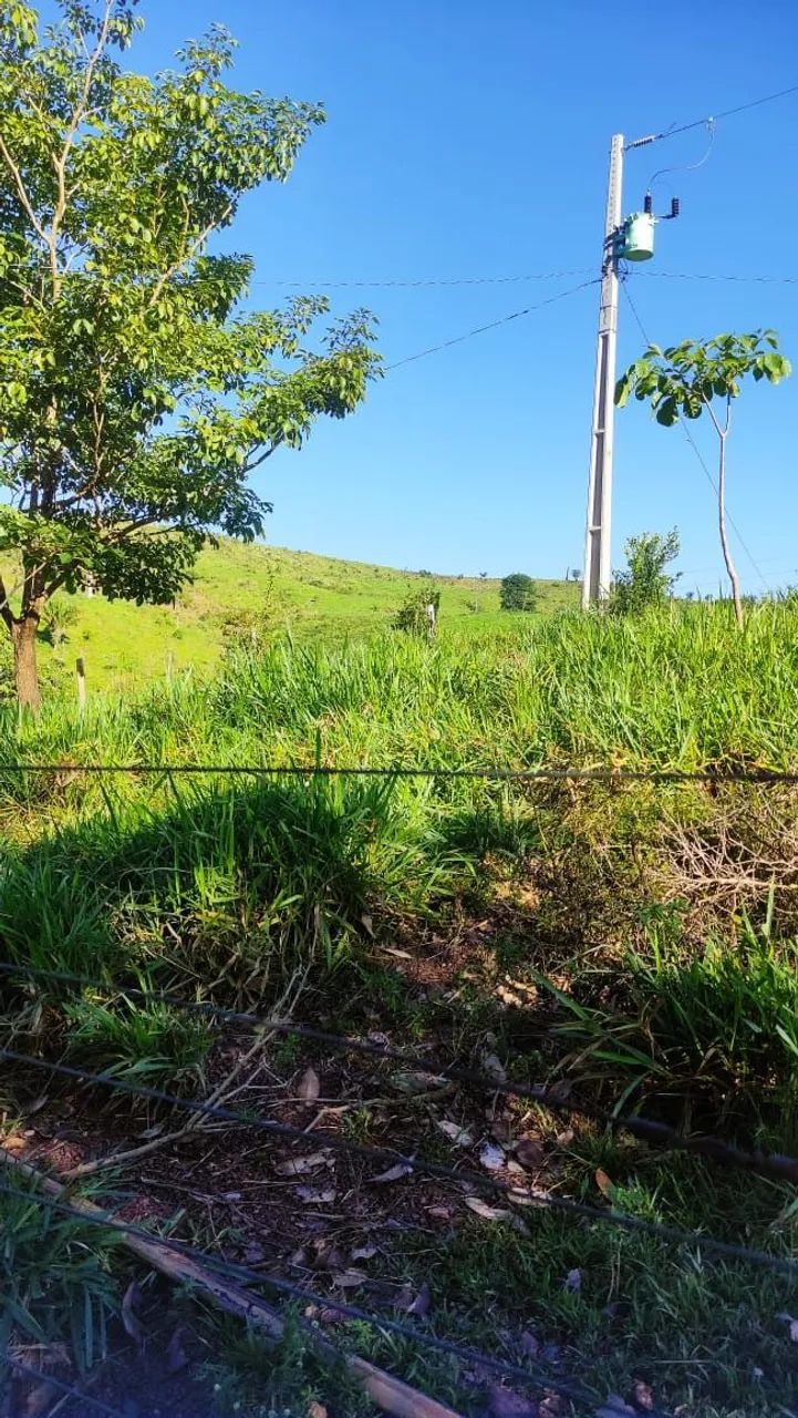 Fazenda no Pará Titulada  - Foto 3