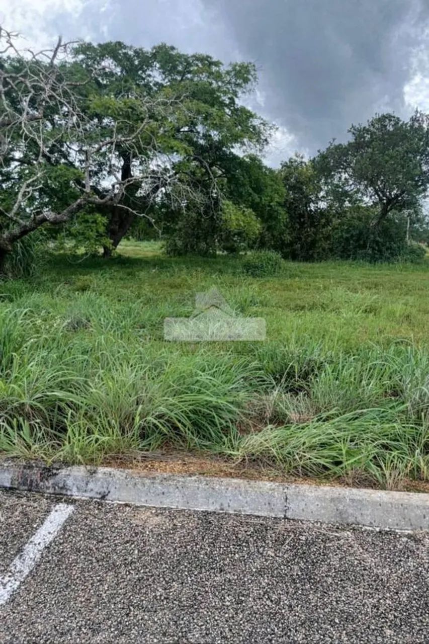 Lote - Ágio 264m² - Flamboyant II