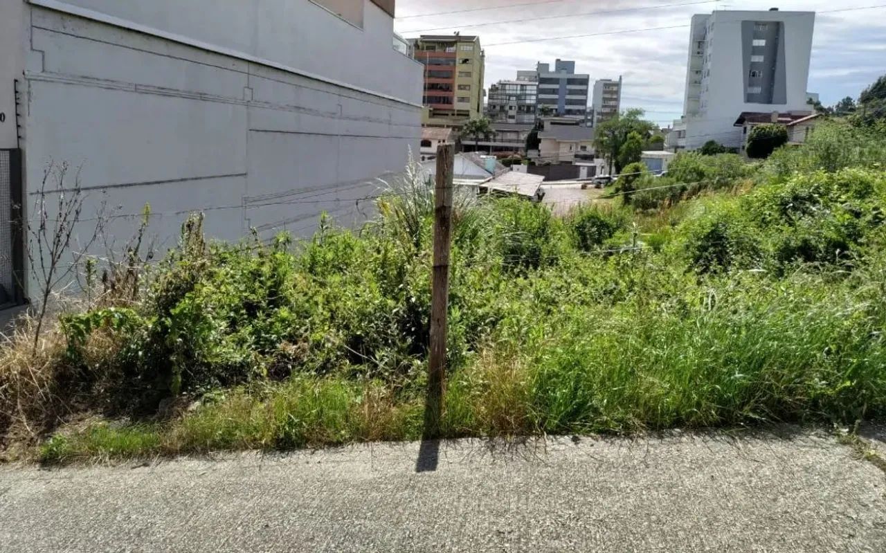 CAXIAS DO SUL - Terreno Padrão - SANVITTO