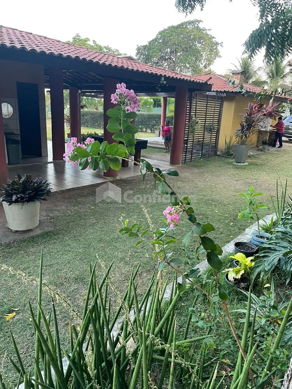 Sitio à Venda em Caucaia no Coité Pedreiras - Foto 4
