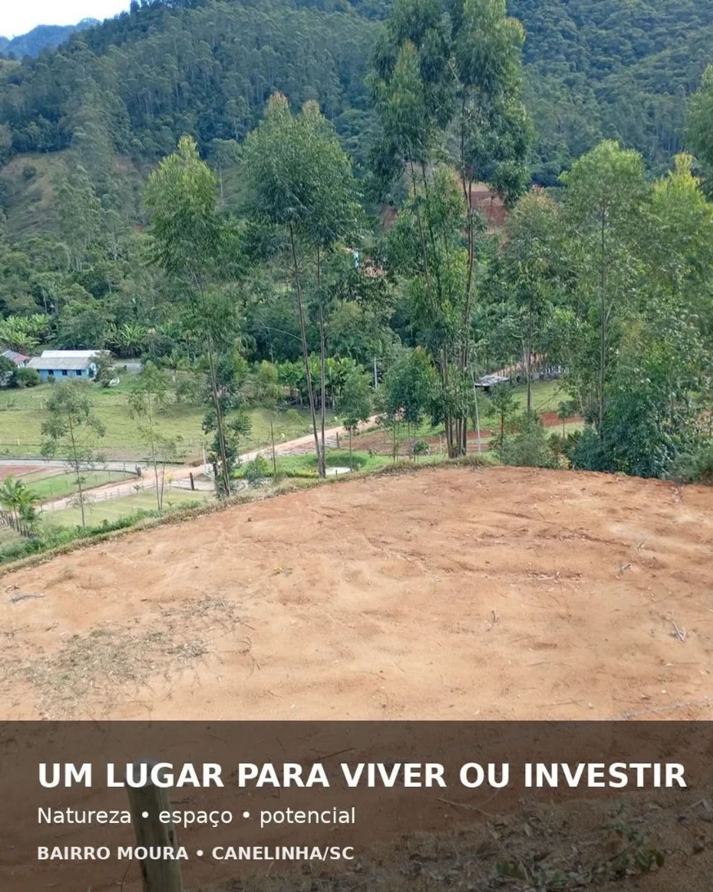 Terreno com Vista privilegiada em CANELINHA -SC - Foto 3