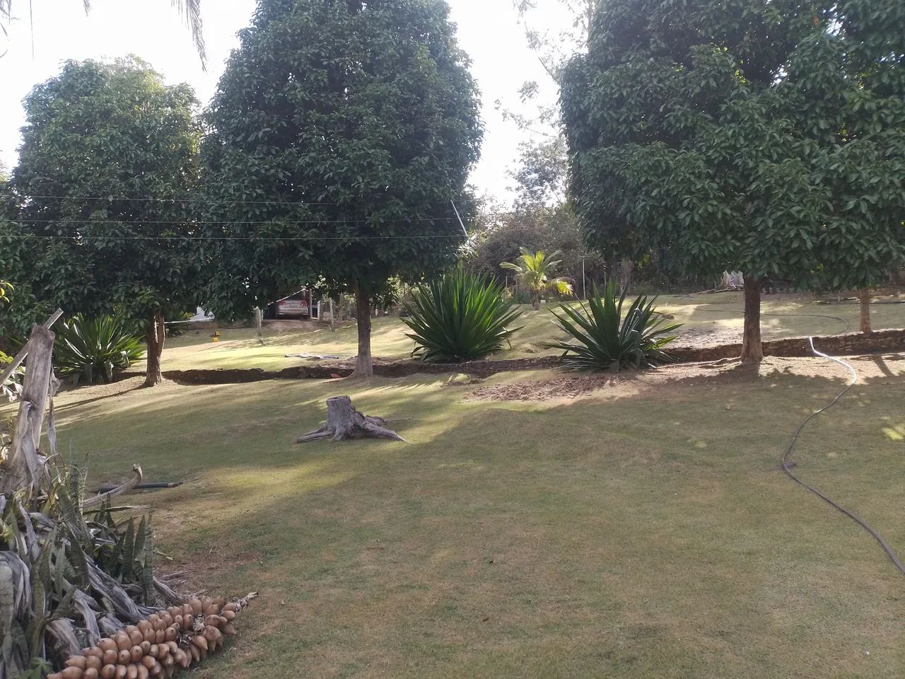 Vendo chácara com 6 alqueires  - Foto 2