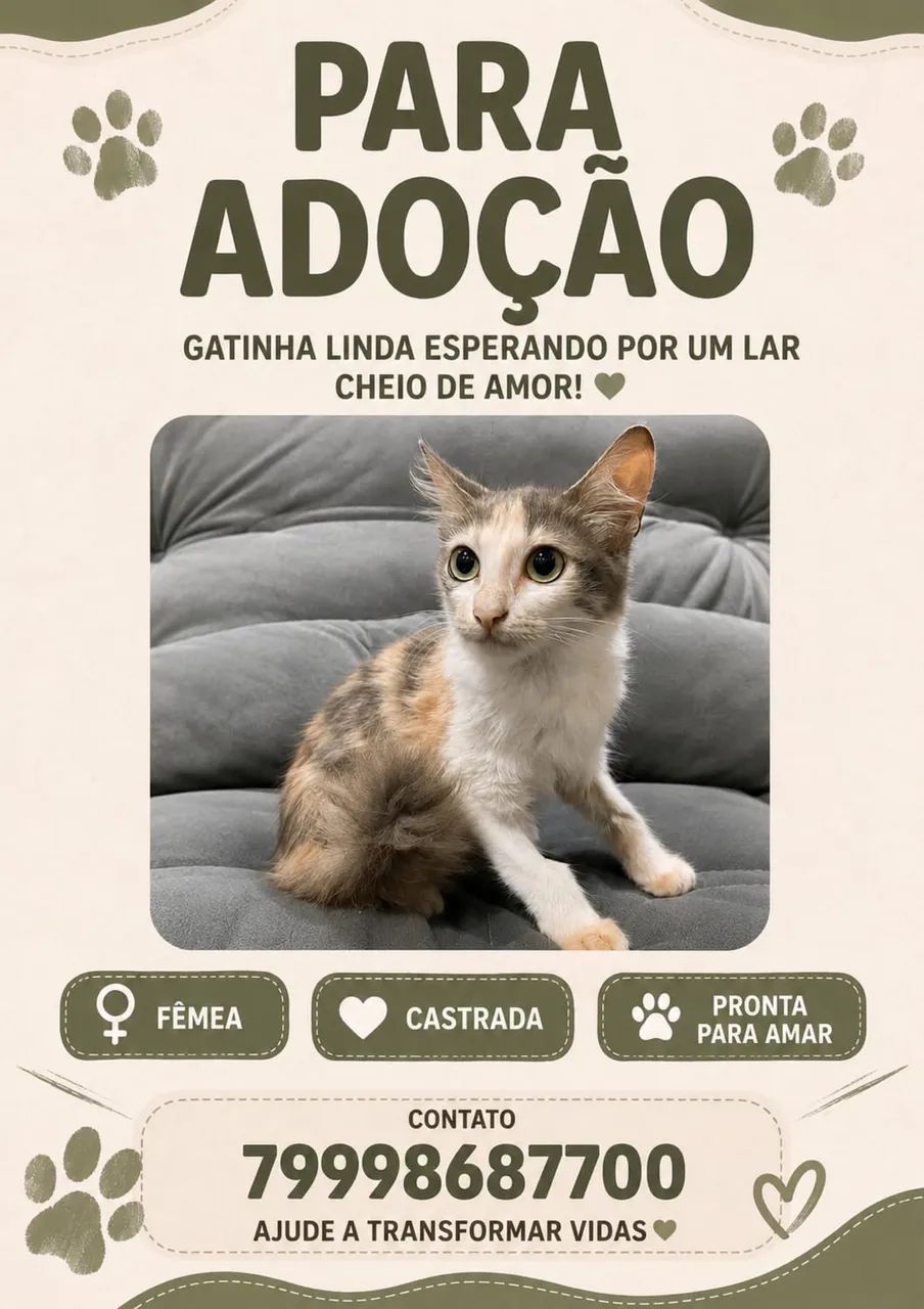 Gatinha para doação 
