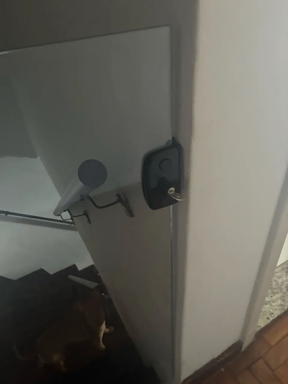 Portão de Vidro  - Foto 3