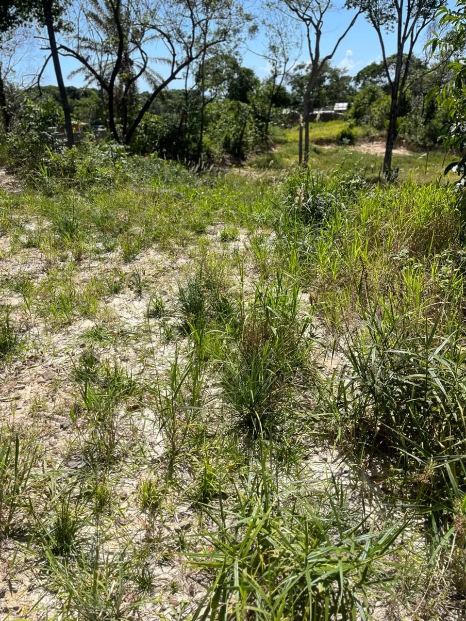 Terreno em Itapuama  - Foto 4