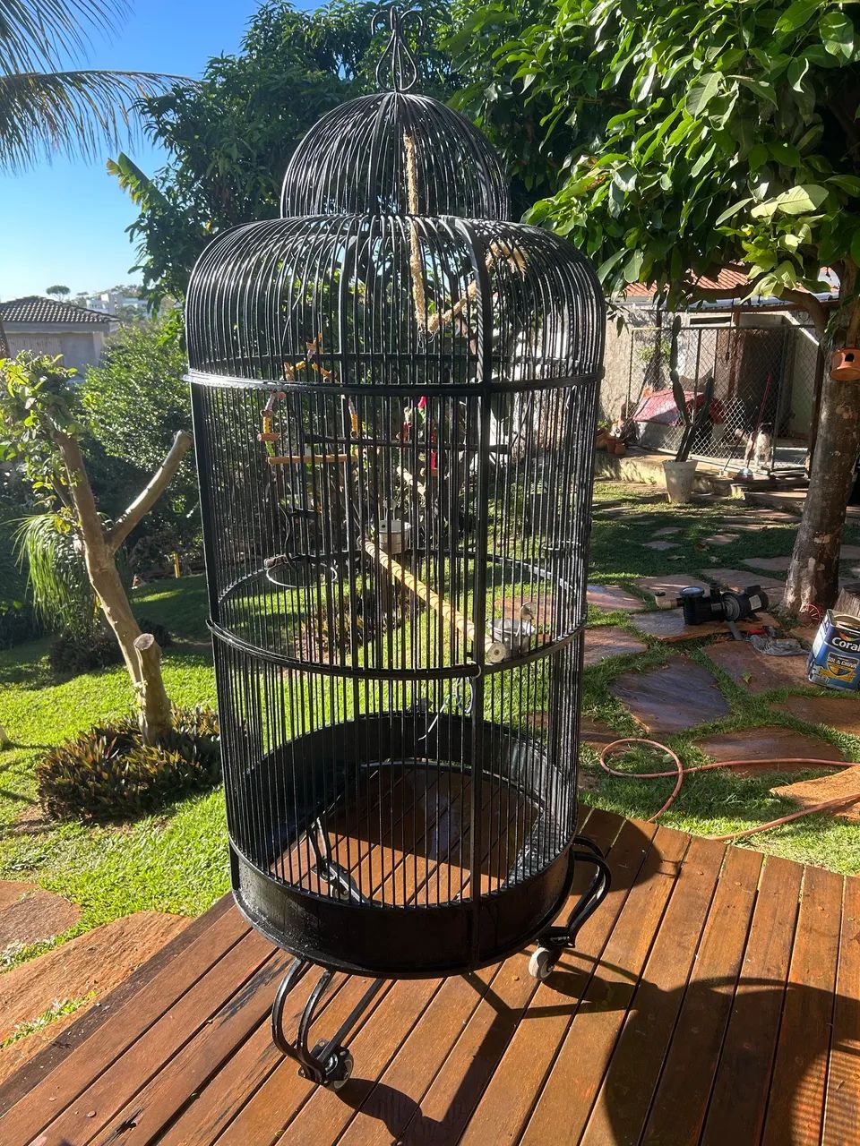 Gaiola grande para pássaros