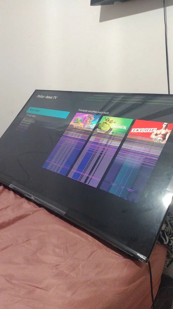 Televisão 55 polegadas 