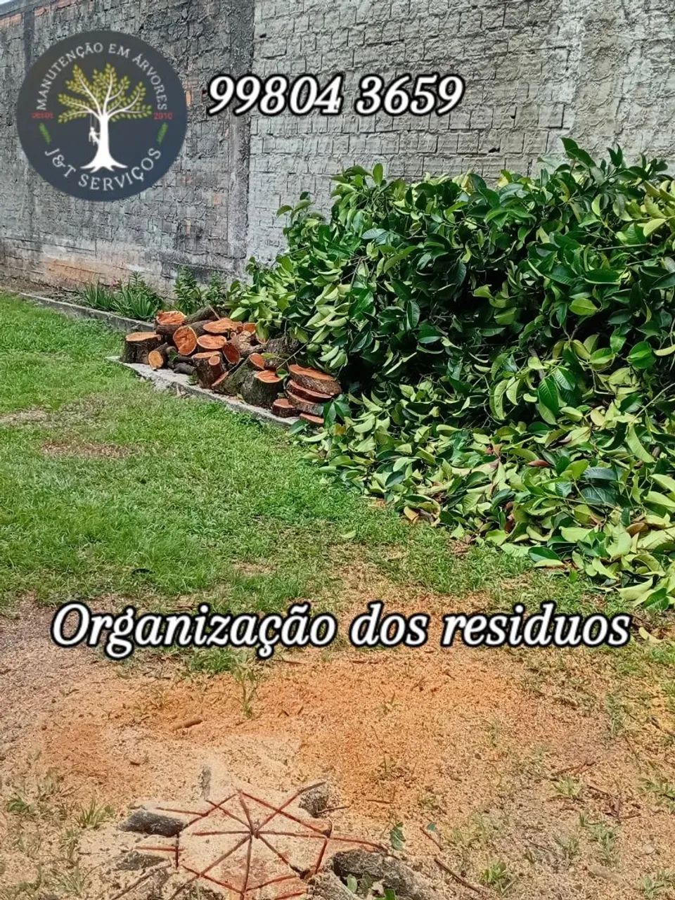 CORTE, PODA, RETIRADA DE ÁRVORES  - Foto 3