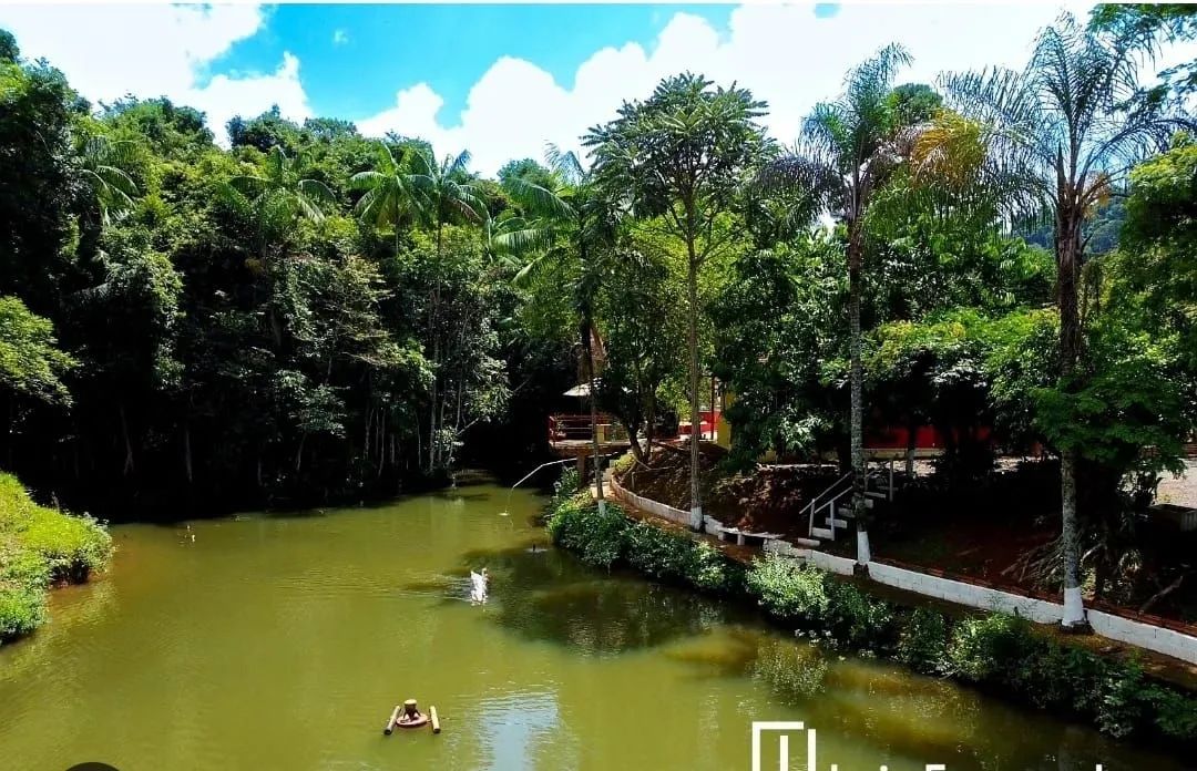 Vendo ou troco Sitio  - Foto 4