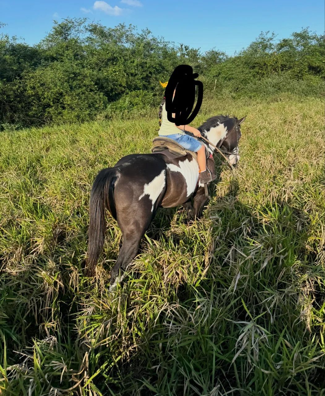 Cavalo de direita  - Foto 4