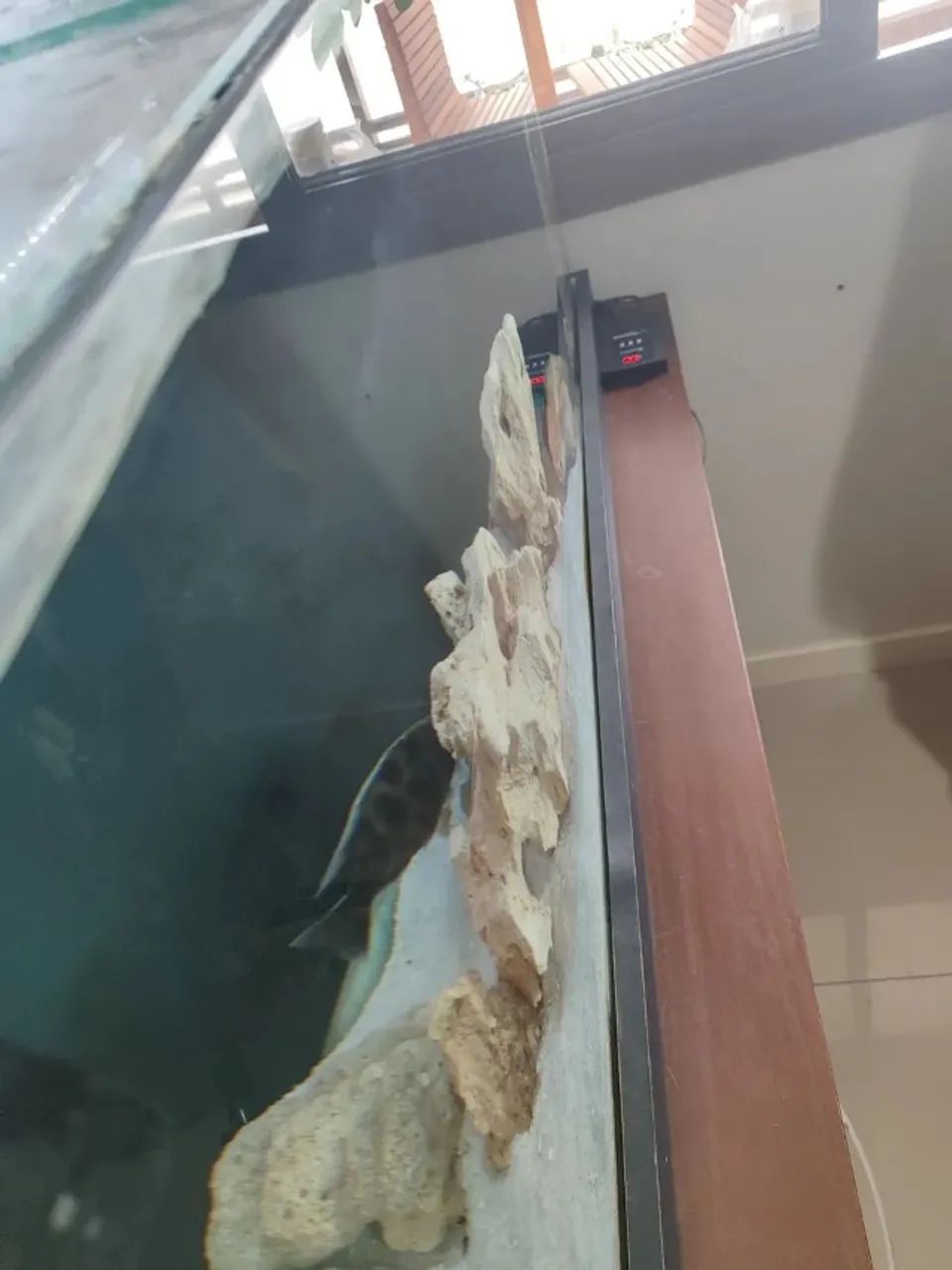 Aquario completo - Foto 2