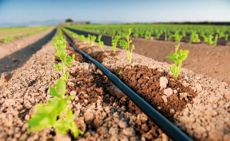 Instalação de Sistema para Irrigação Programavel Automático  - Foto 2