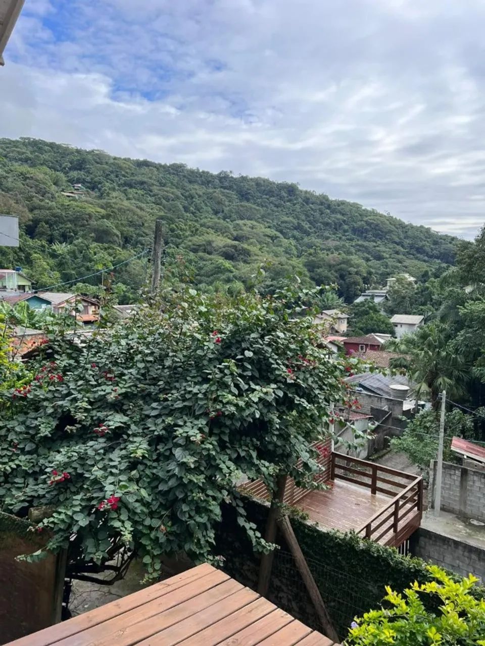 Terreno de 240 m² no Rio Tavares - Foto 3