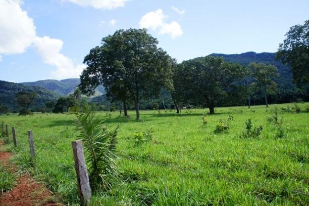 Fazenda 1750 ha N.S. Livramento MT - Foto 4