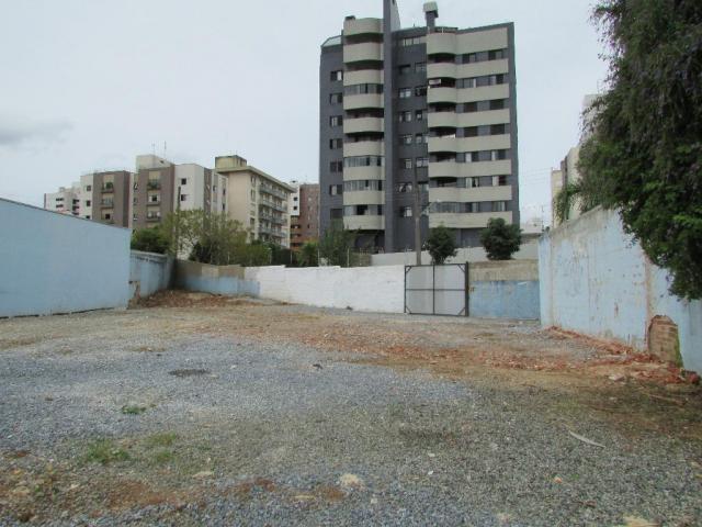 Terreno para alugar, 536 m² por r$ 2.300/mês - juvevê - curitiba/pr