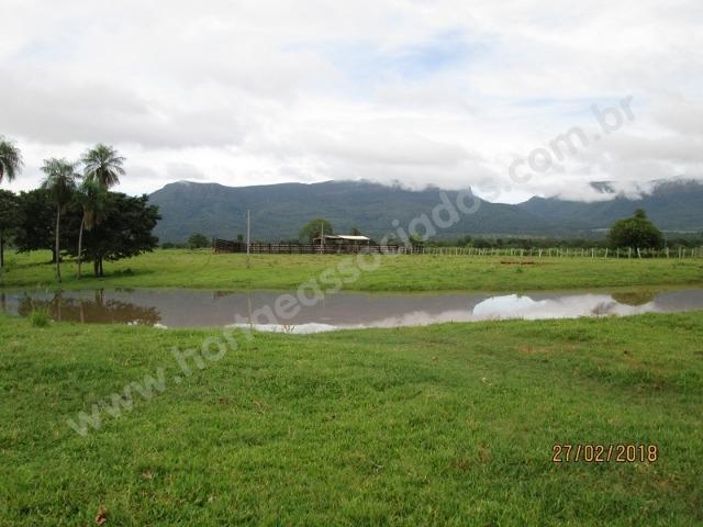 Fazenda com 881 hectares em Corumbá-MS para agricultura e pecuária - Foto 9