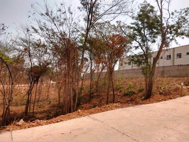 Residencial Porto Seguro - Financiamento Sem Comprovação de Renda - Foto 5