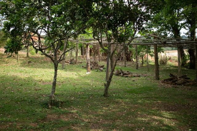 Chácara Recanto da Natureza - Foto 17