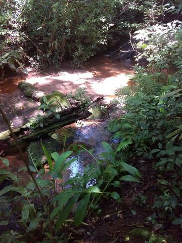 Chácara Bateias Campo Largo Curitiba - Foto 3