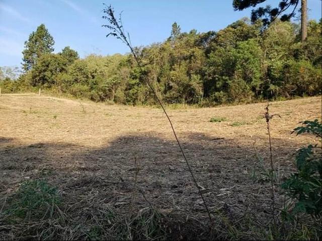 Terreno para chácara - Foto 9