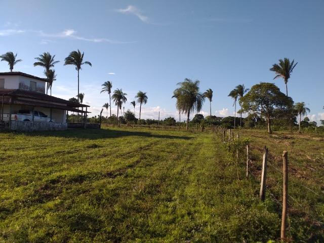 Fazenda Santa Rita BR 135 KM 64 - Foto 4