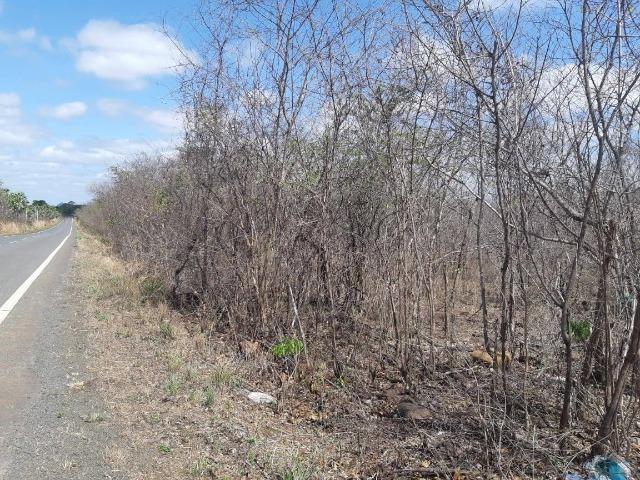 Vendo Terreno Rural na localidade "Tapera" no município de Batalha - Foto 2