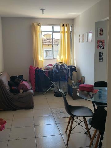 Alugo Apartamento 45m2, sala, 2/4, cozinha/lavanderia, banheiro - Foto 3