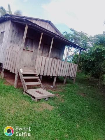 Chácara na transacreana - Foto 4