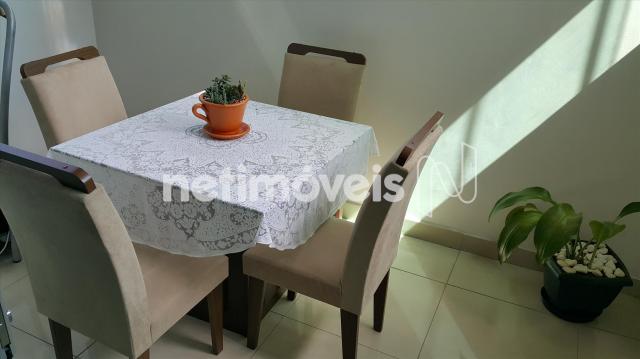 Apartamento à venda com 3 dormitórios em Santo andré, Belo horizonte cod:725176 - Foto 13