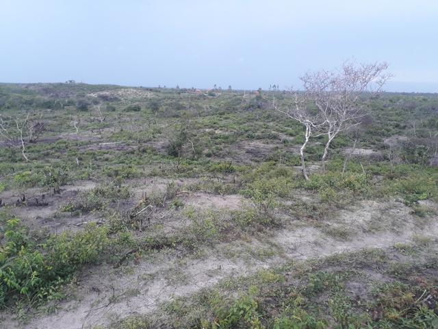 Terreno