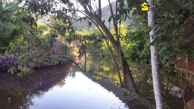 Sítio em Jaboti com duas casas! - Foto 5