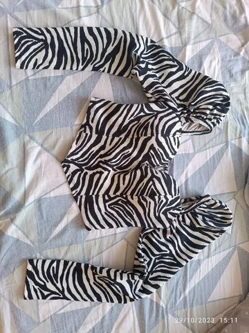 Cropped zebra