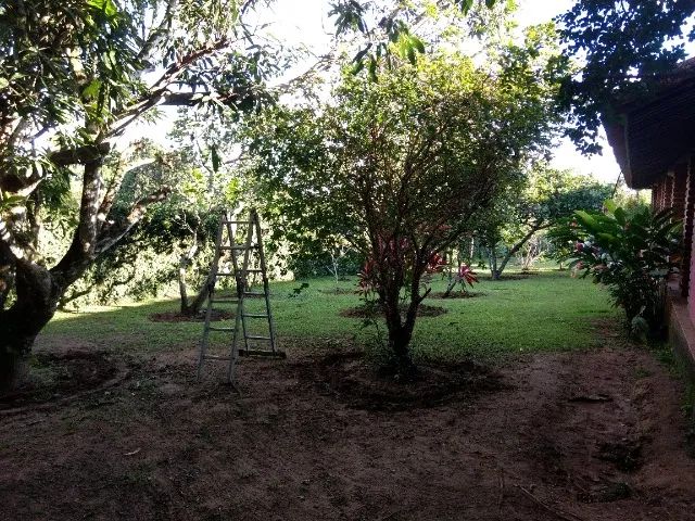 Controle de Pragas, Consultoria Ambiental e Sanitária, Paisagismo e Jardinagem.  - Foto 2
