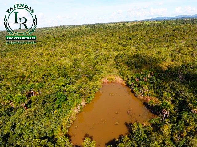 Fazenda 73 Alqueires Próximo a Paraíso do Tocantins - Foto 3