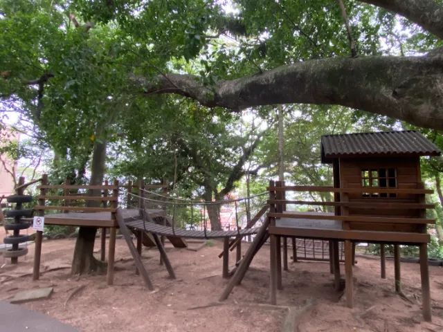 Apartamento Teresópolis - 3 Quartos Vaga Coberta - Foto 15