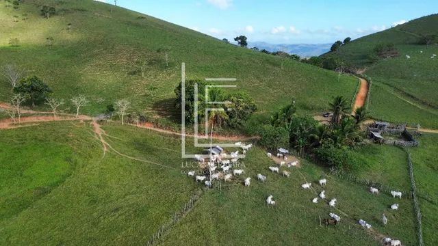 Belíssima fazenda de 52 hectares na melhor localização de Santana do Mundaú-AL - Foto 4