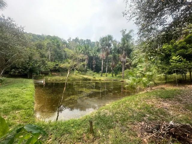 foto - Manaus - Cidade Nova