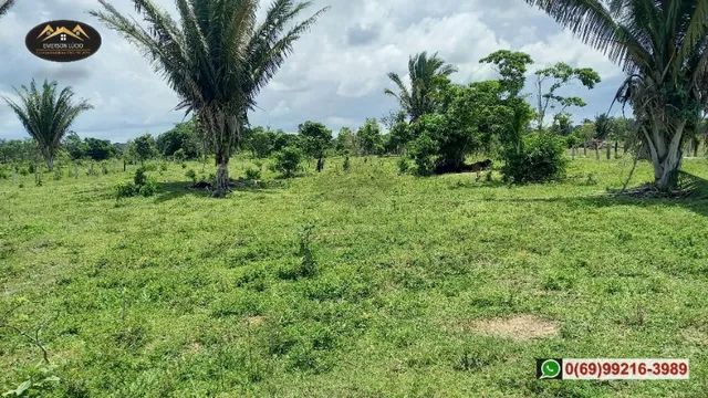 Sítio em boa Localização de Candeias do Jamari-RO - Foto 8