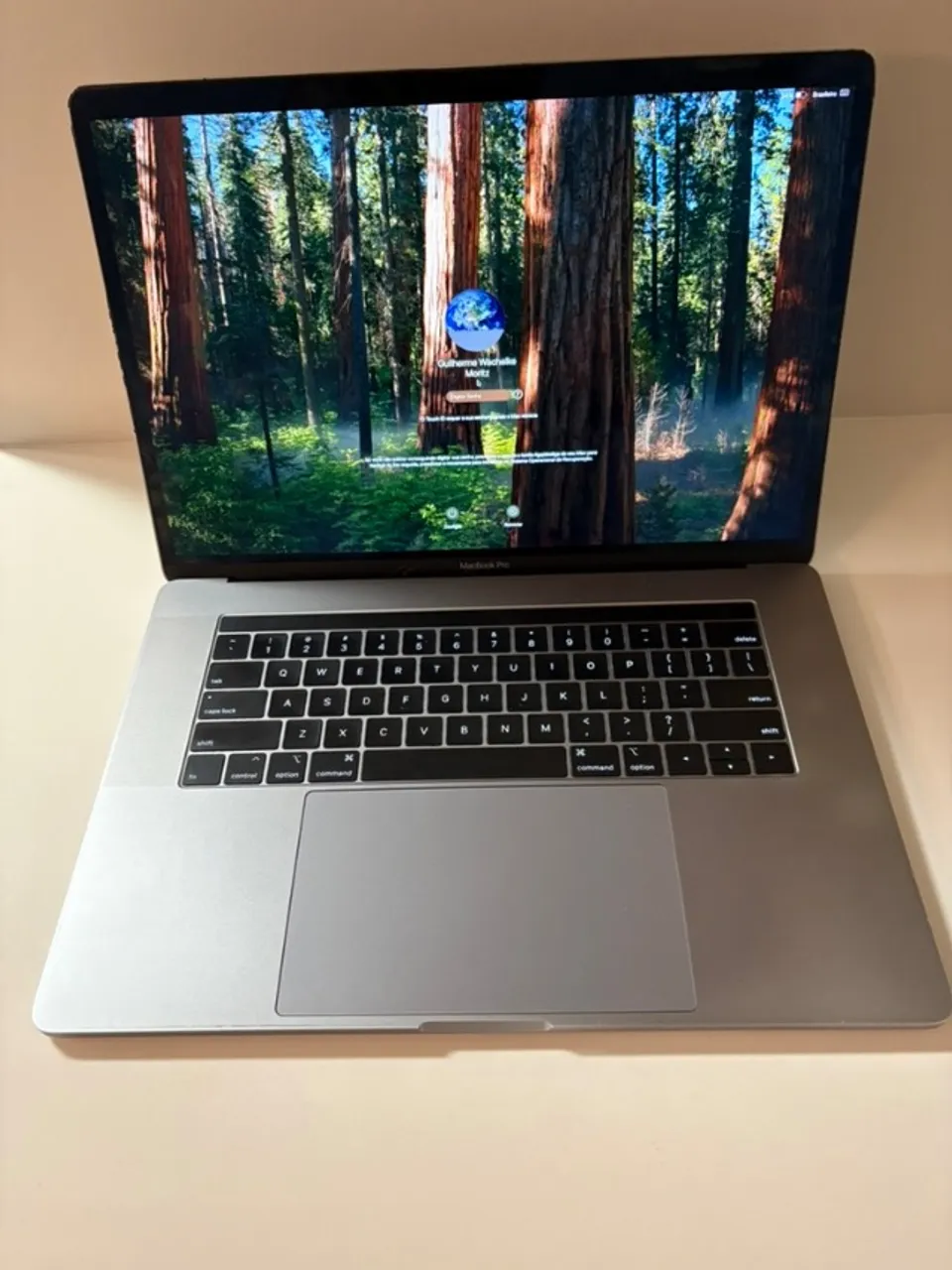 MacBook Pro15インチ　Retinaディスプレイ　500GB/32GB Apple MacBook Pro Retina 15 inch 2014-07 - Notebookcheck.info