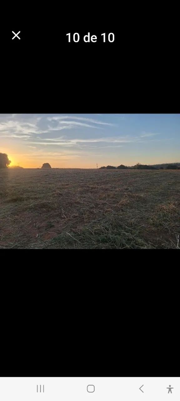 Sítio de 20.000 metros em Artur Nogueira  - Foto 3