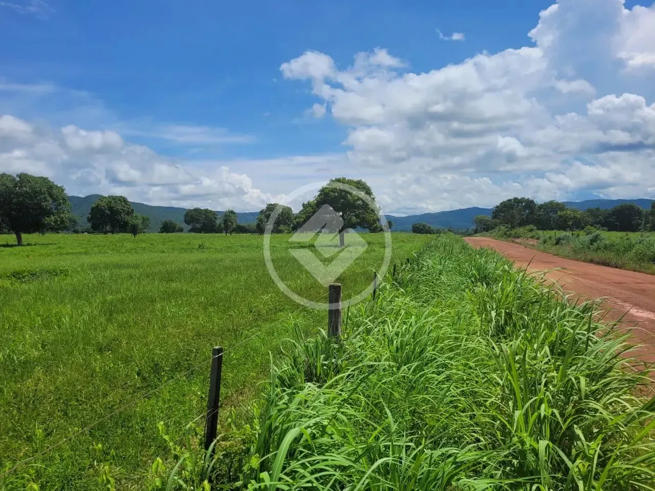 FAZENDA À VENDA EM ACORIZAL - MT codigo: 111371