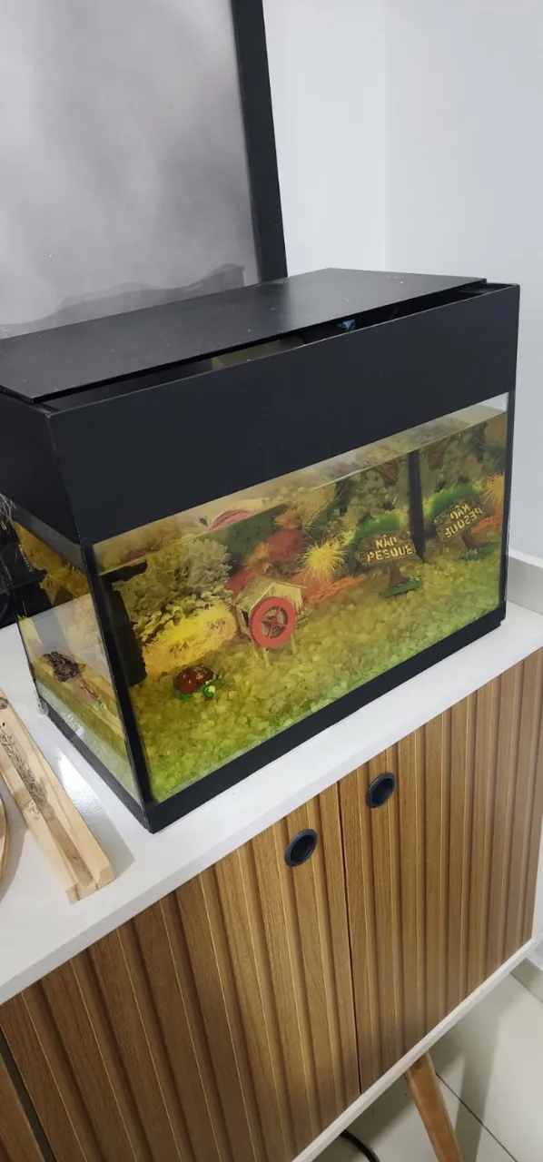 Aquário 20 litros