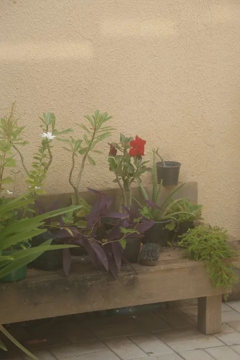 Lente Canon Ef 75-300mm F/4-5.6 Iii (Usado) - Foto 5