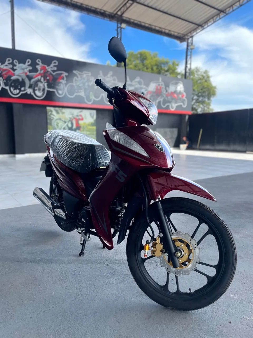 Bull F5 plus