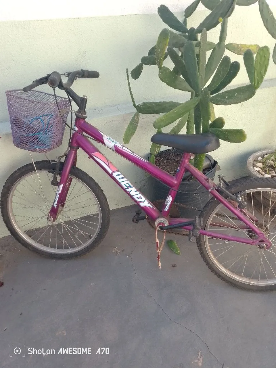 Bicicleta Infantil Wendy