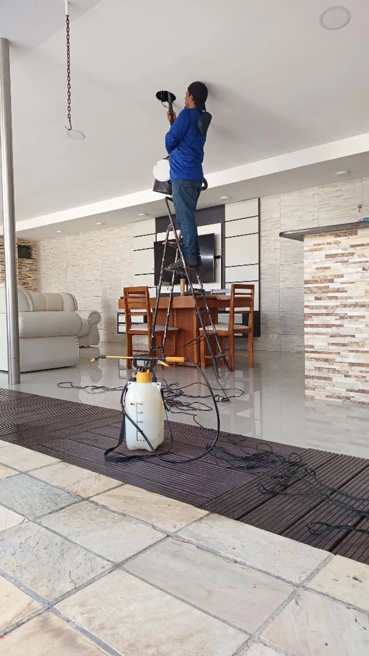 Dedetização  - Foto 4