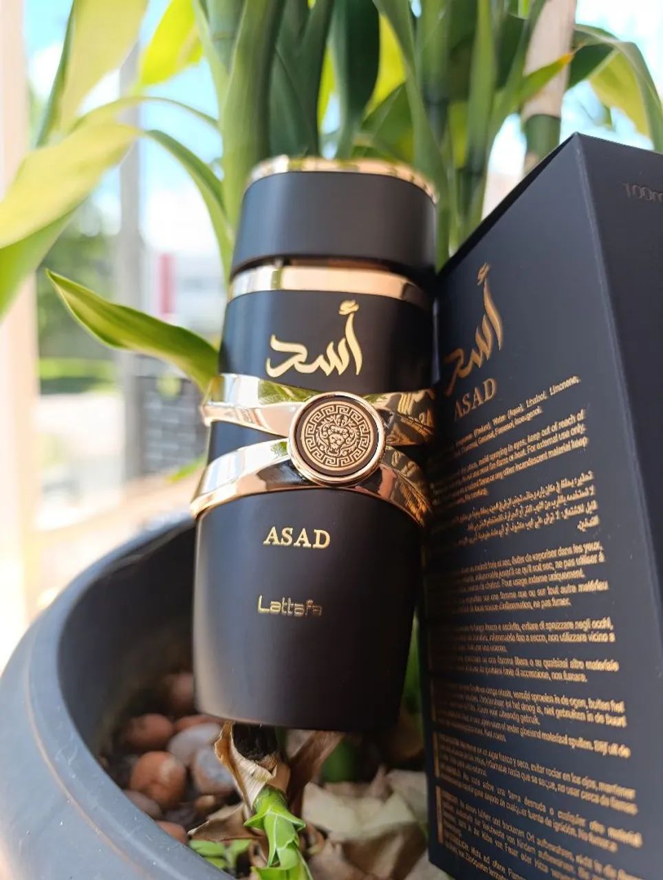 Perfume Asad Lattafa - Masculino - 100ml - Foto 4