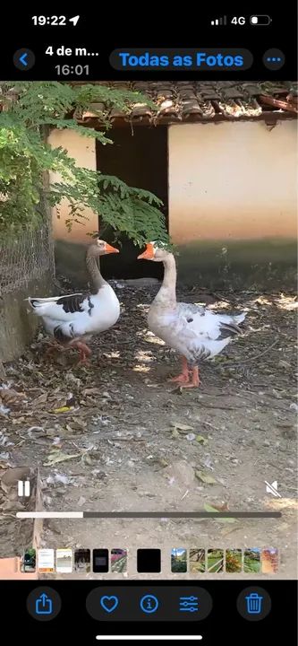 Sitio em Esmeraldas pousada los hermanos - Foto 14