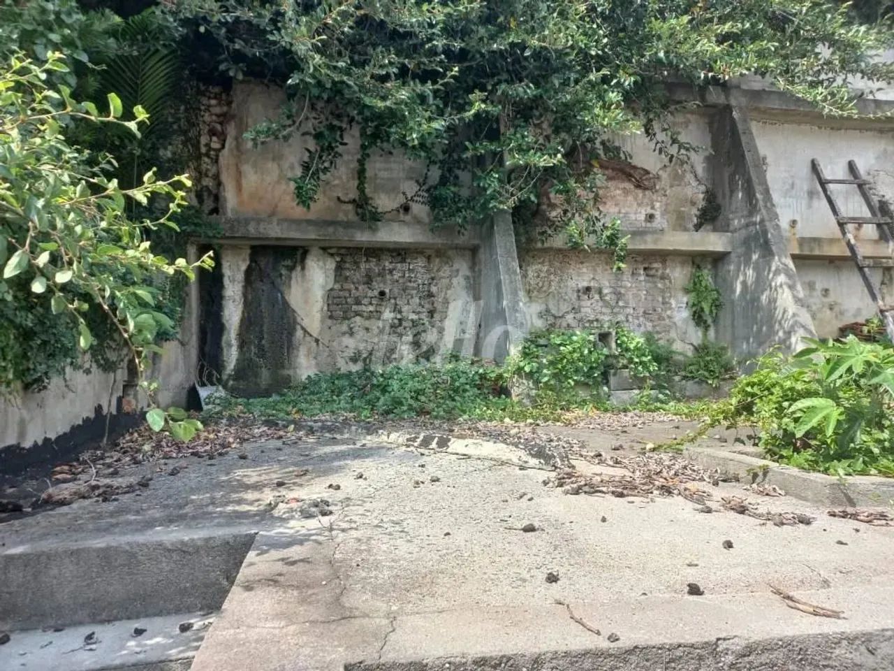 Terreno null quartos à venda no(a) Parada Inglesa - Foto 5