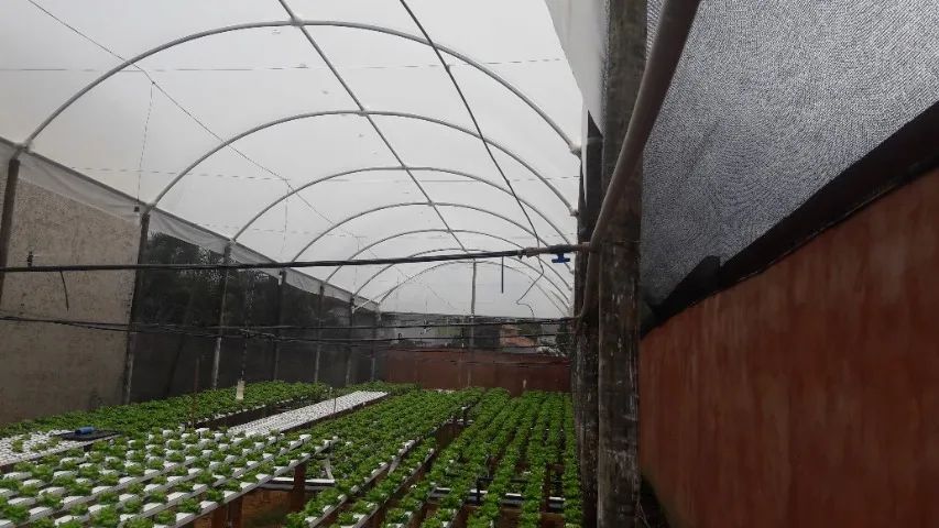 Estufa Hidropônica *Excelente Oportunidade de Negócio* - Foto 4